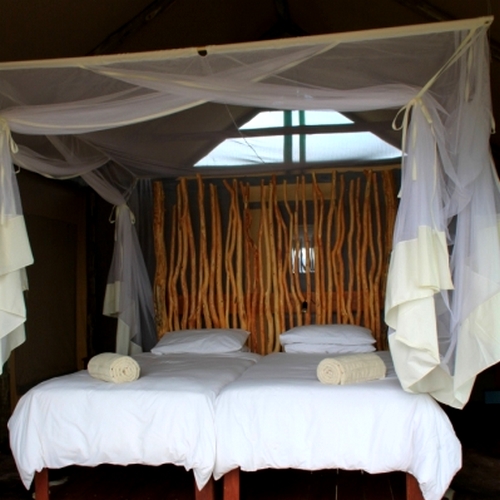 Camp Chobe