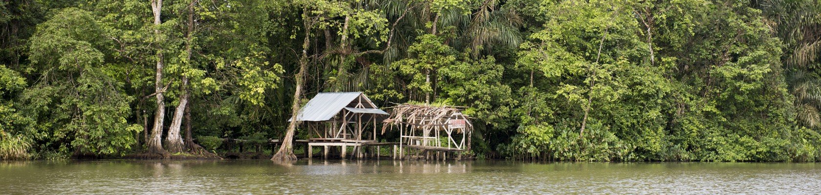 Tortuguero Nationaal Park