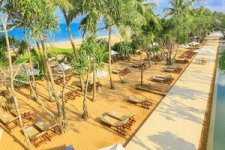 lk_ac_pandanus_stp5.jpg