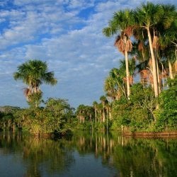 pe_tambopata_1.jpg