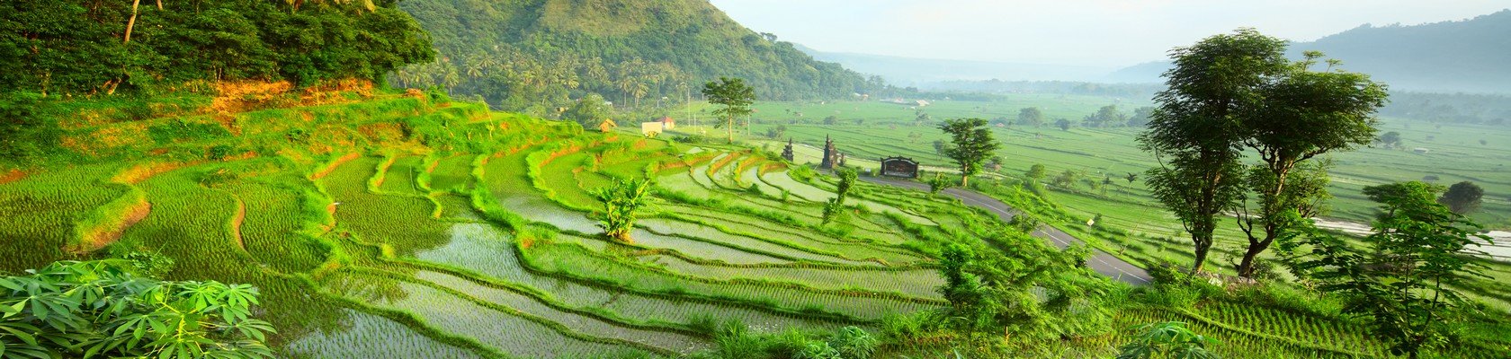 Prachtige treinreis door de rijstvelden