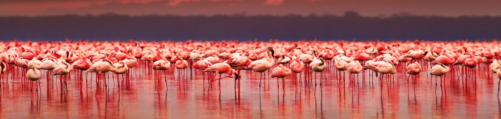 Lake Nakuru