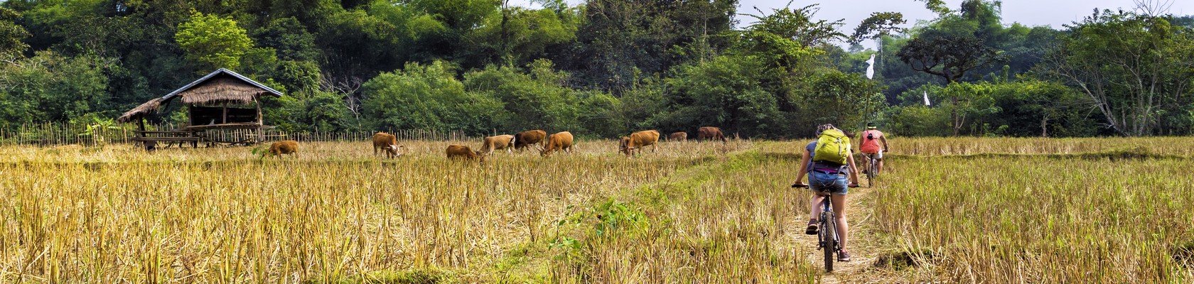 Fietsen over het platteland