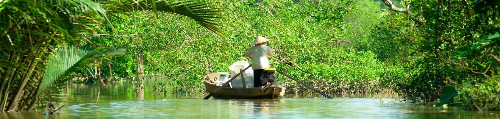 Mekong Delta