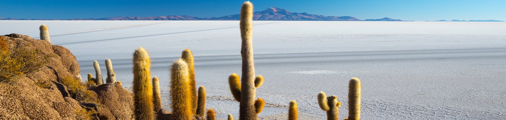 Zoutvlakte van Uyuni