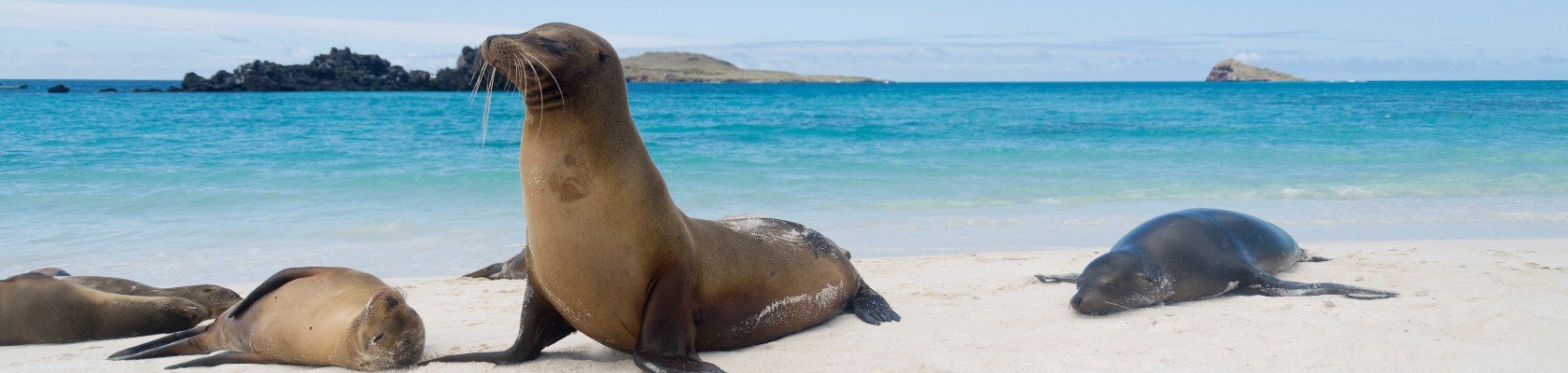 Galápagos-eilanden