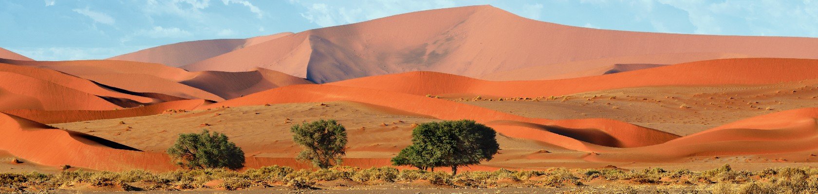 Rode duinen bij Sossusvlei