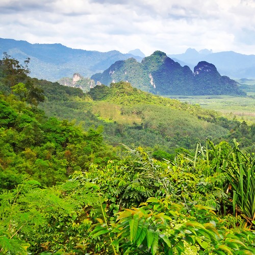 Khao Sok Lake Tour