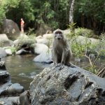 Khao Sok Lake Tour