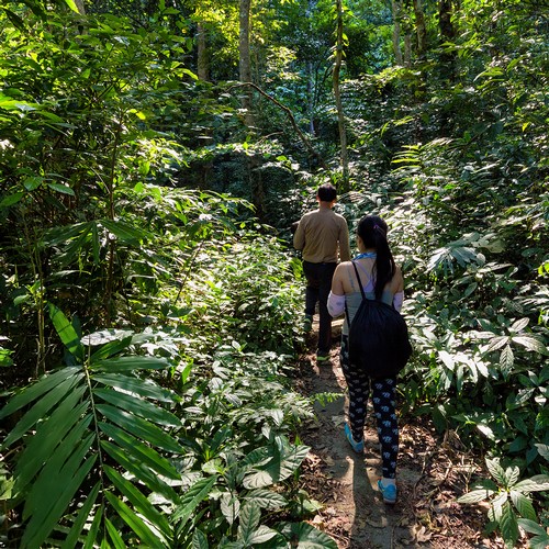 Khao Sok Lake Tour