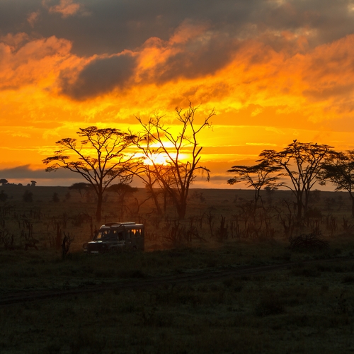Serengeti NP, zonsondergang