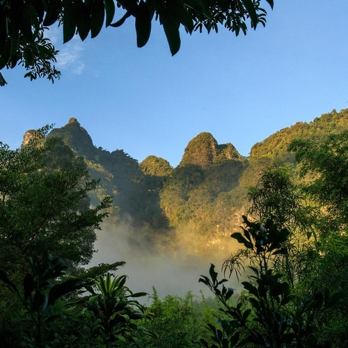 Khao Sok Nationaal Park