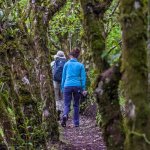 cr_al_monteverdewandeling_vierkant.jpg
