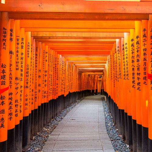 De ontelbaar veel rode Torii poorten van Fushimi Inari-taisha
