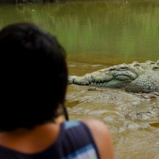 cr_al_tarcolesrivercrocs.jpg