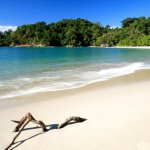 cr_al_uvitabeach3.jpg