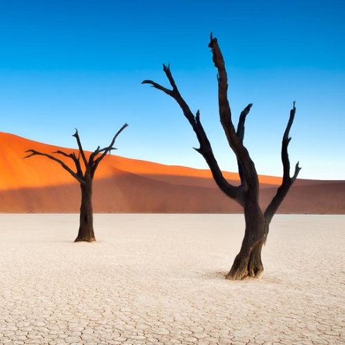 Sossusvlei