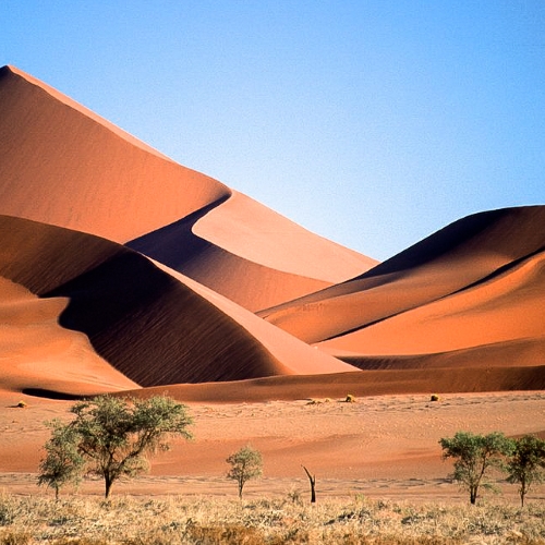 Namib Naukluft National Park