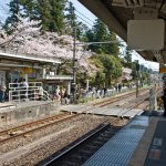 jp_alg_trainblossom.jpg
