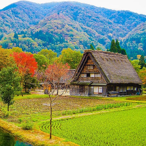 Shirakawago