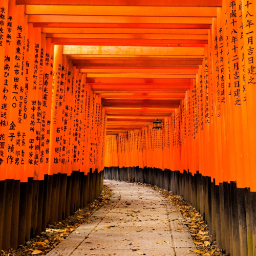 De ontelbaar veel rode Torii poorten van Fushimi Inari Taisha