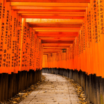 jp_al_kyoto.png