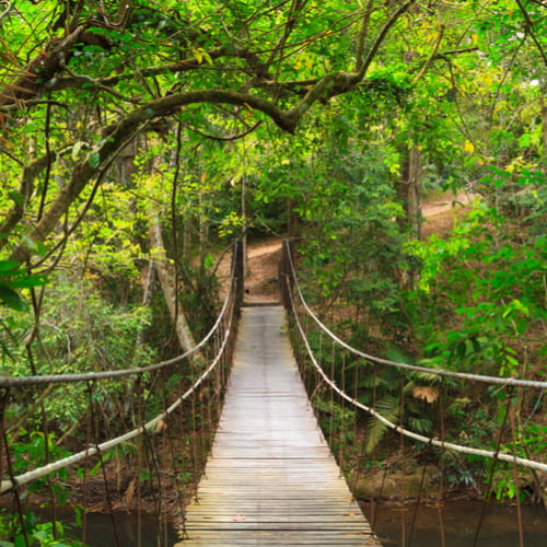 Khao Yai, hangbrug in nationaal park