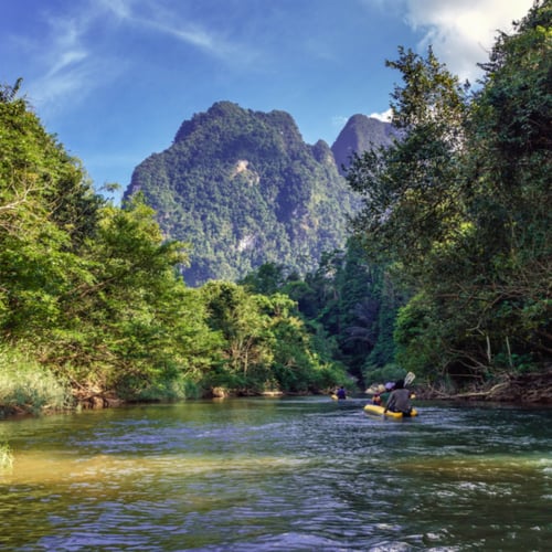 Khao Sok bomen en rivier in nationaal park 