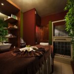 aphoca_thumb_l_spa-1.jpg