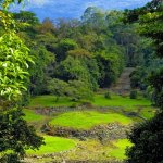 cr_al_turrialba_guayabo.jpg