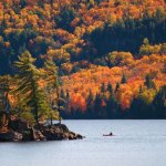 ca_al_algonquin.jpg
