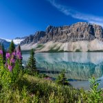 ca_al_ban_nearicefields.jpg