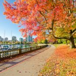 ca_al_van_stanleypark.jpg
