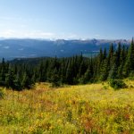 ca_al_smi_craterlaketrail.jpg