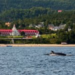 Tadoussac