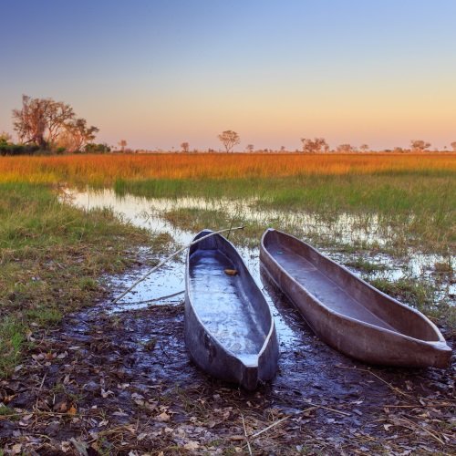 bw_al_okavango.jpg