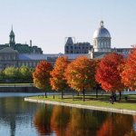 ca_al_montreal1.jpg