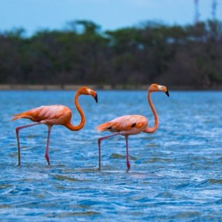 co_losflamencosfaunaandflorasanctuary1_alg.jpg