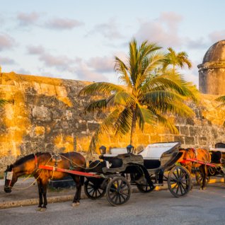 co_cargatena_horsedrawncarriage_alg.jpg