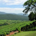 tzaneen_016_500500.jpg