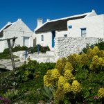 za_alg_arniston_500500.jpg