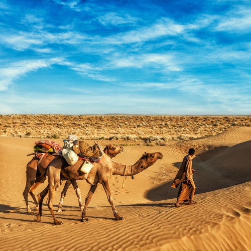 Thar Woestijn, Jaisalmer