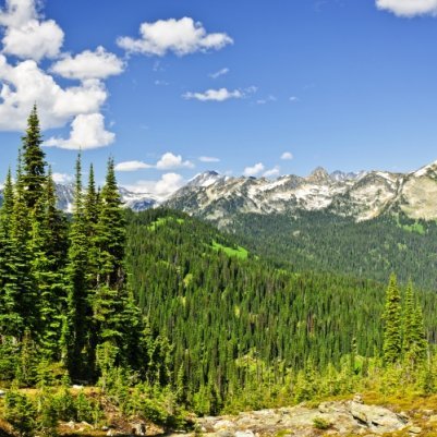 Revelstoke