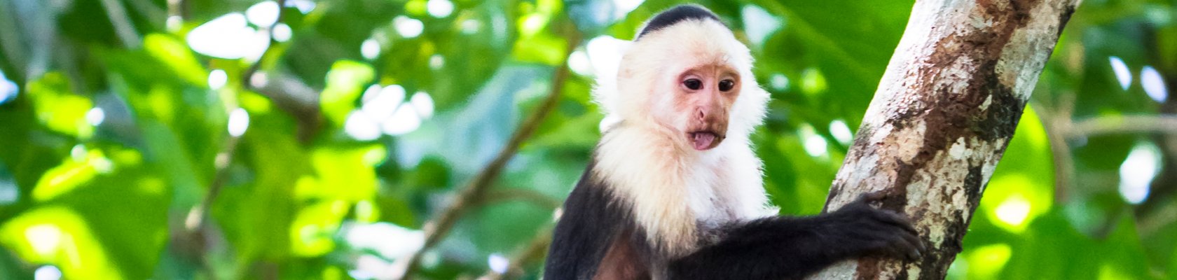 Tortuguero National Park