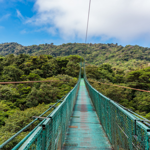 Hanging Bridges, Monteverde