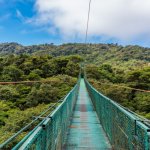 cr_monteverde_hangingbridgesalg.jpg