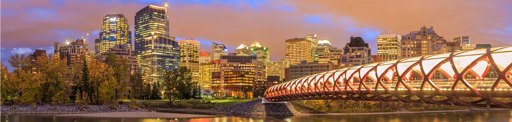 Calgary by night