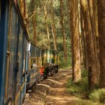 Ooty Toy Train