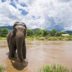 Periyar Nationaal Park