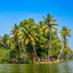 Poovar